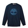 Men's A43Y5433