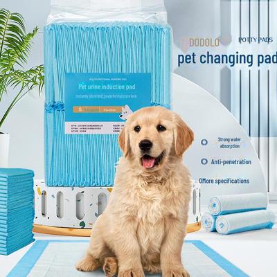 Hochwertige, saugfähige Urinpads für Hunde und Haustiere, 100er-Packung – ideal für Katzen, Kaninchen und zum Training!