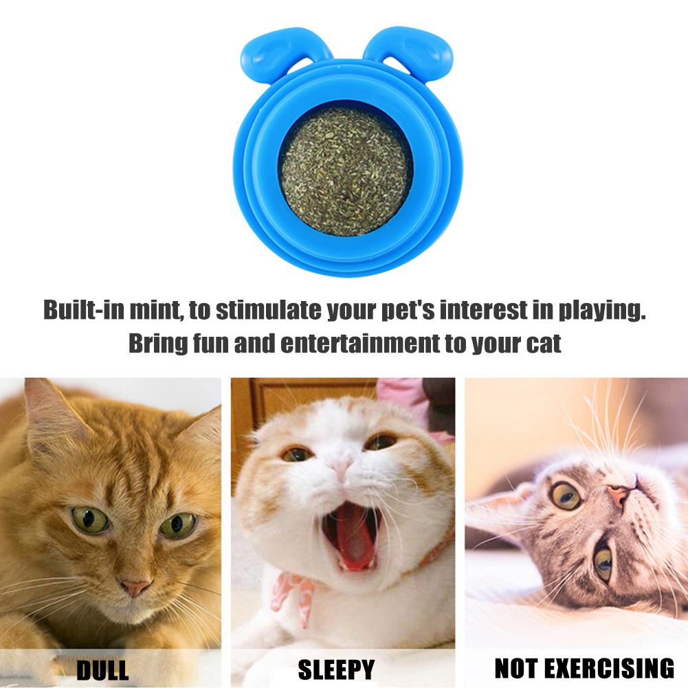 Plastic Catnip Edible Lick Balls Natural Safe Dog Head Shape Catnip Balls Toy for Cats Replaceable Rotatable Pet Treats Supplies
