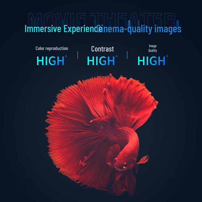 Hong Ye 120-inch Projector Screen