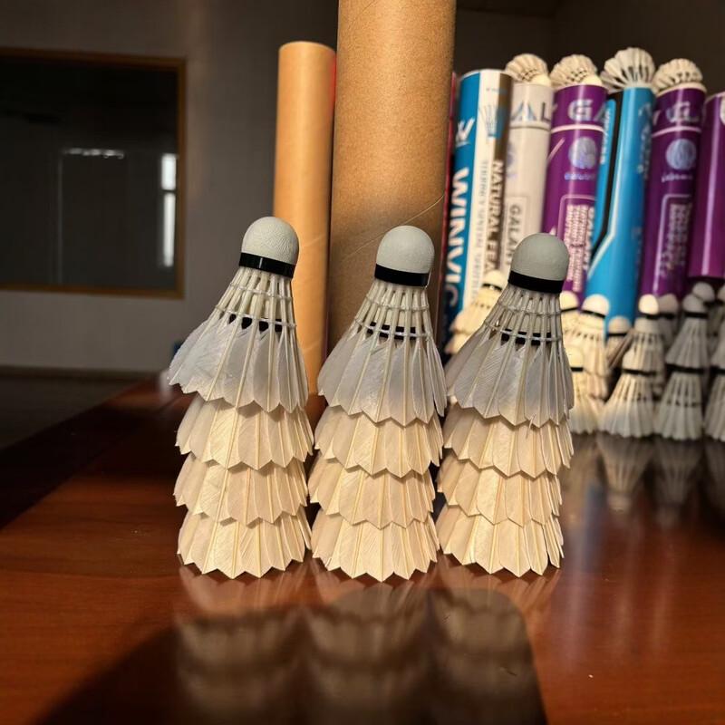 Badminton-Wettkampfschaft