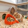 3D Printing Pet Feeding Bowl Carrot Shaped Guinea Pigs Drinking Bowl  for Small Pets