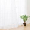 Nitori (NITORI) Lace Curtains RL008, Width 100cm x Length 108cm x 2 Panels, 7326307