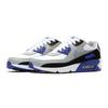 Nike Air Max 90 Hyper Royal GS CD6864-103