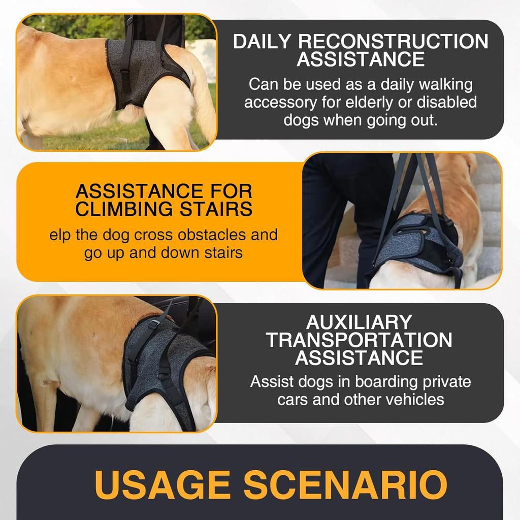 Dog Sling for Large Dogs Hind Leg Support, Adjustable Lift Harness for Medium Large Elderly Dogs Rear Leg Support (Size XL)