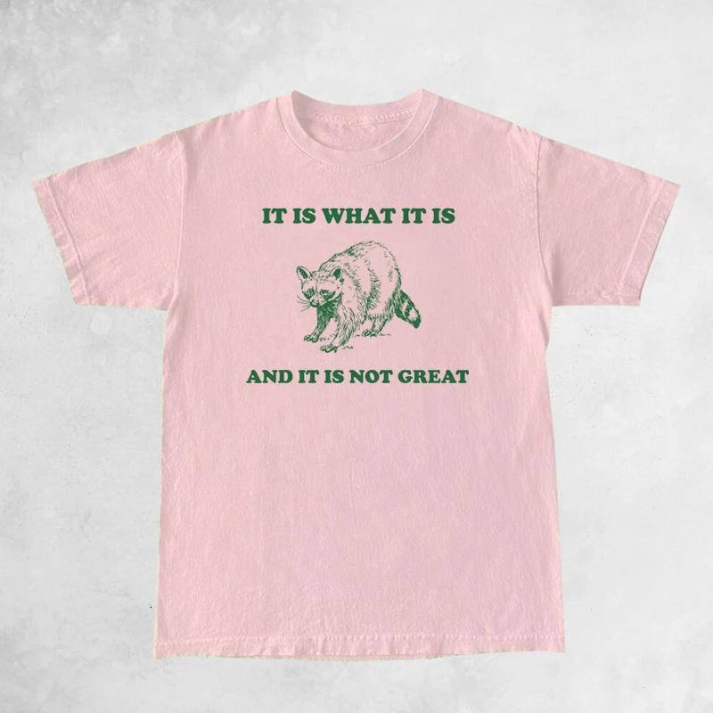 It Is What It Is Raccoon Meme T Shirt Women Funny Unisextal Health Graphic TShirts Unisex Vintage Fashion Tops Short Sleeve Tees