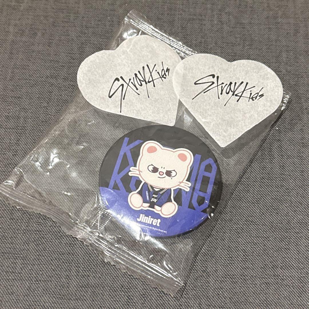 

[Б/У] Stray Kids Поп-ап Предзаказ Эксклюзивный для Фан-клуба Зеркальный Жилет