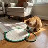 Scratch Resistant Cat Scratching Toy Wear-Resistant Dog Mattress Cat Climbing Mat  Indoor Use