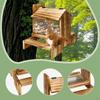 Wooden Squirrel Feeder Feeding Station Clear Window Pet Food Dispenser Hanging