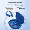 JBL Endurance Peak4 True Wireless Sport Earphones