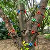 18 Pieces Screw on Climbing Holds Slip-Resistant-Slip Textured Rock