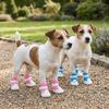 4 Peças Botinhas de Malha Leves para Cães Meias Antiderrapantes para Cães Protetor de Piso para Casa