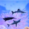 Zwemmende Haai Walvis Ornament Simulatie Zee Dieren Nieuwigheid Onderwater Wereld Ornament Aquascaping Decoraties