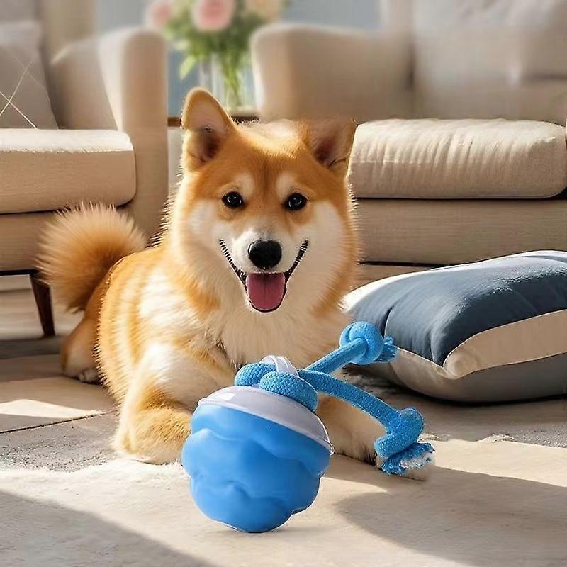 Rechargeable Power Tail 2.0 Dog Toy, Interactive Dog Ball, Jumping Ball Toy