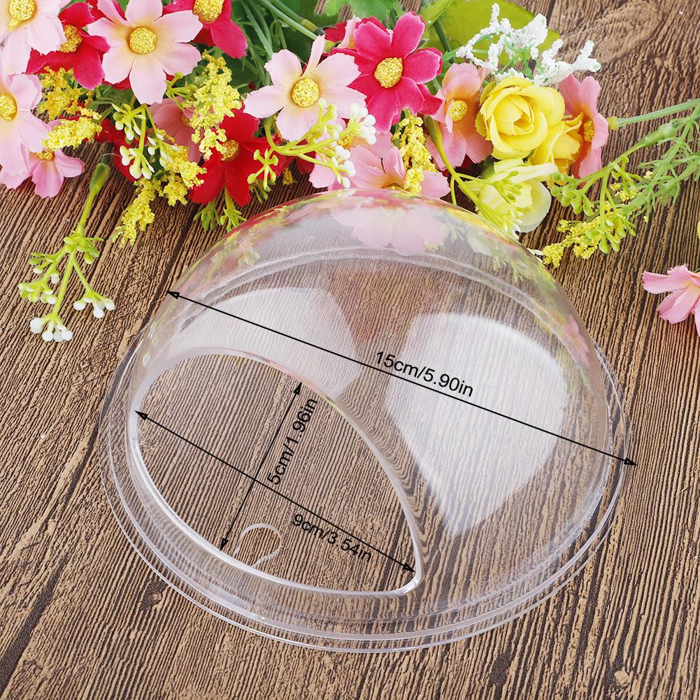 Home Semicircular Wall Hanging Vase Acrylic Hydroponic Terrarium Fish Tank Plant Flower Home Decor Wedding Decoration
