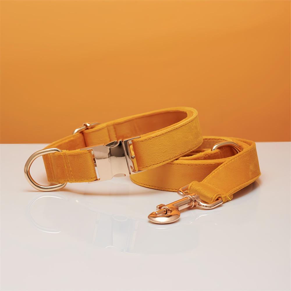 Ensemble collier et laisse pour chien en velours gravé avec boucle métallique réglable
