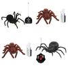 Remote Control Spider Toy With Plastic Material For Kids Age 7 To 14