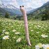 5 Stück Lustige Miniatur-Wurm-Pflanzen-Dekorationen Niedliches Design Topfpflanzen-Dekor DIY-Terrarium