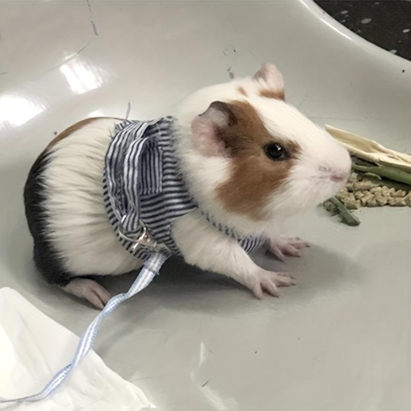 Small Pet Leash Harness Bunny Harness and Leash Set Small Animals Walking Chest Strap for Guinea Pig Hamster Chinchilla Rabbit