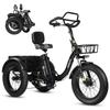 Bicicletă electrică de marfă Eskute T302 Pro Motor 250W 48V 18AH Roți late de 20" Bicicletă electrică de oraș Pentru adult 7 viteze Afișaj LCD Sarcină maximă 200Kg