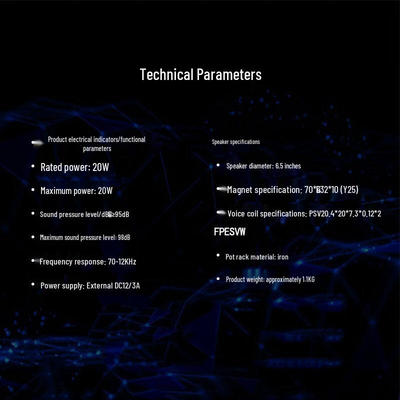 TAKSTAR SG-640C IP Digital Network Ceiling Speaker CN plug (adapter included)