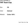 Thisisneverthat Tnt Team Cap Oatmeal