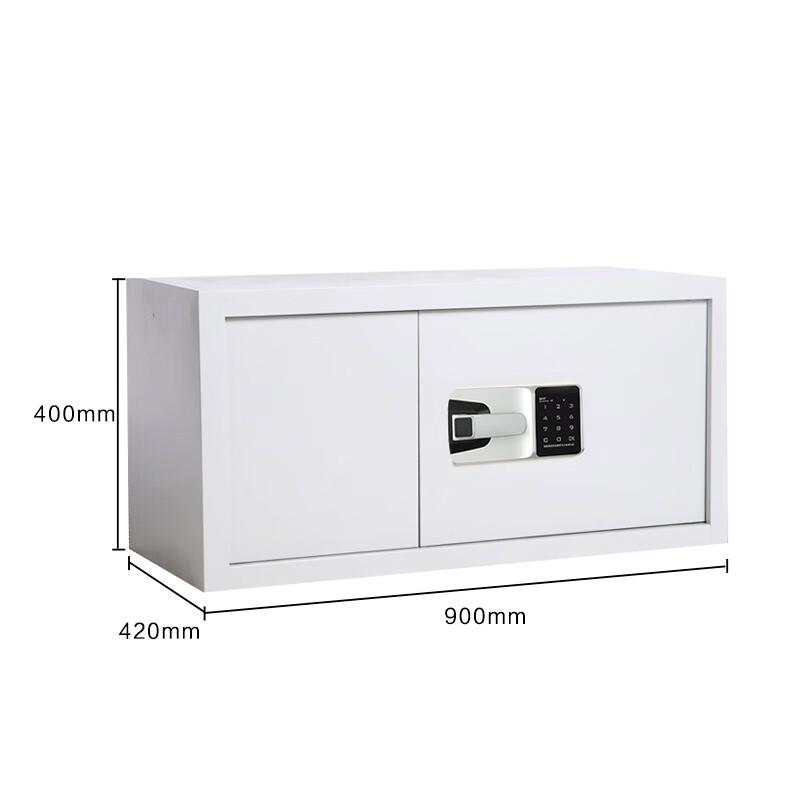 Tiger Smart Password Security Cabinet