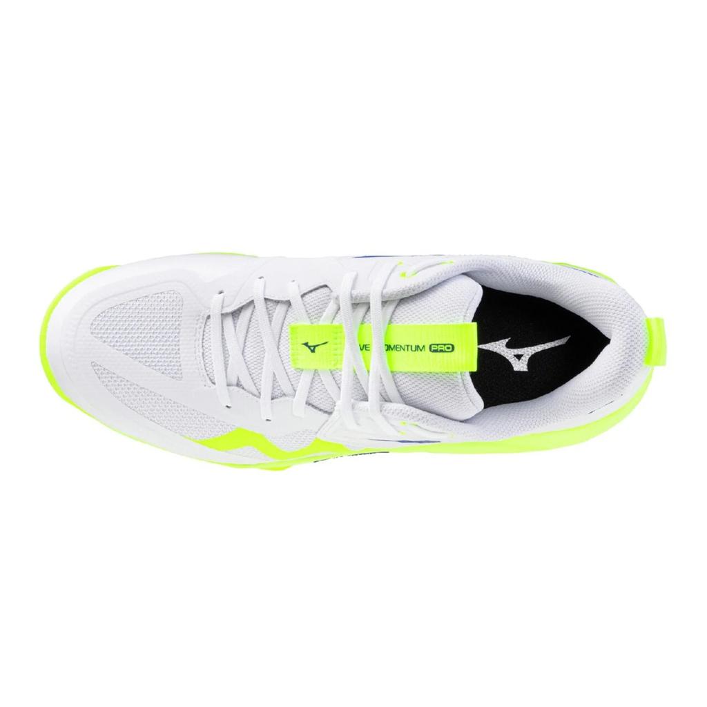 Mizuno Wave Momentum Pro Leather Comfortable Durable Casual Volleyball Shoes Unisex sneaker White Green V1GA254039