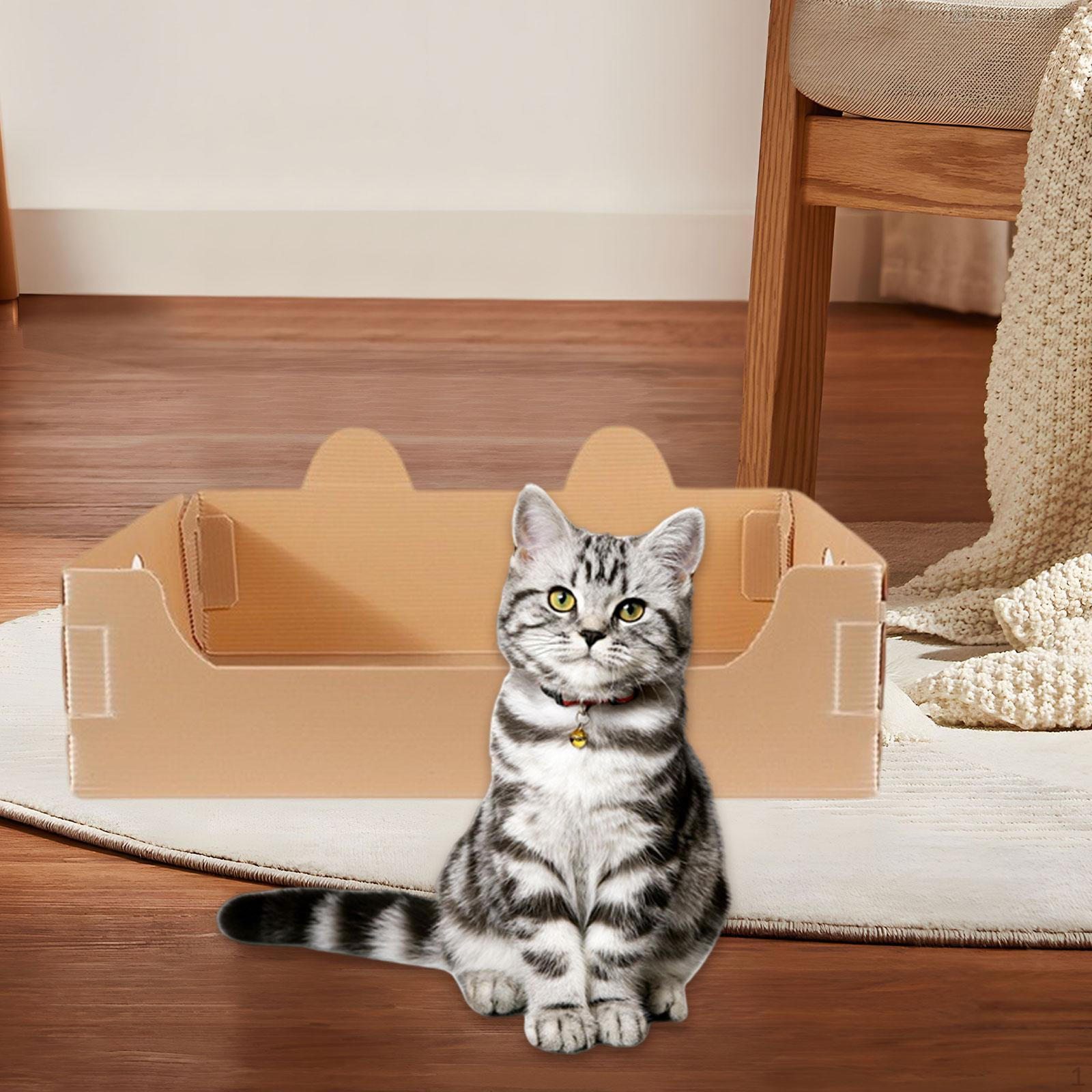 

Туалет для путешествий с кошкой Очаровательный Большой вместимости Принадлежности Смешной Открытый лоток Горшок для дома