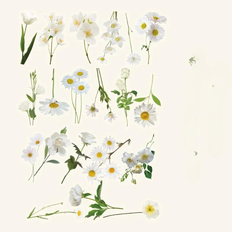 40Pcs Fresh Flowers Plants Stickers DIY Decoration PET Waterproof Stickers for Planners Scrapbooking Laptops