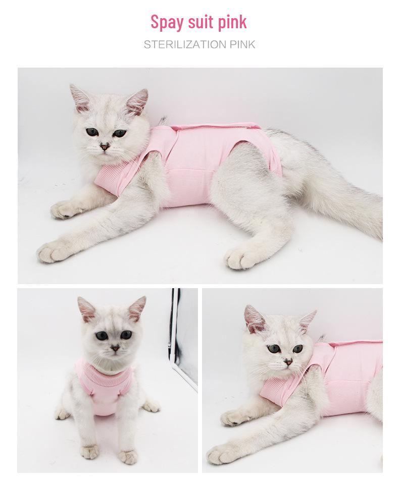 Autumn Cat Post-Surgery Anti-Lick Suit: Anti-Infection, Anti-Bacterial, High Elasticity, Comfortable Pet Wear
