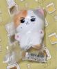 [USED] ENHYPEN Jungwon 10cm Doll Plush Toy