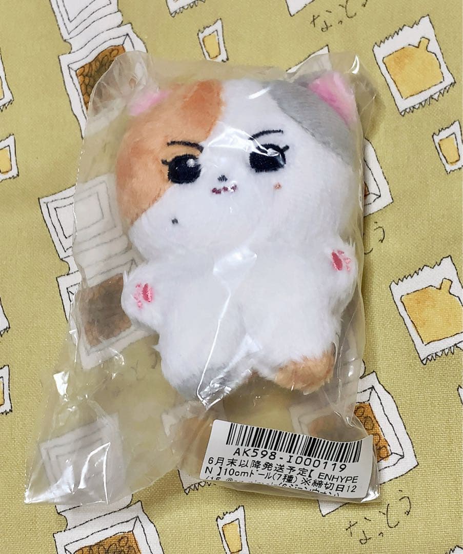 

[USED] ENHYPEN Jungwon 10cm Doll Plush Toy