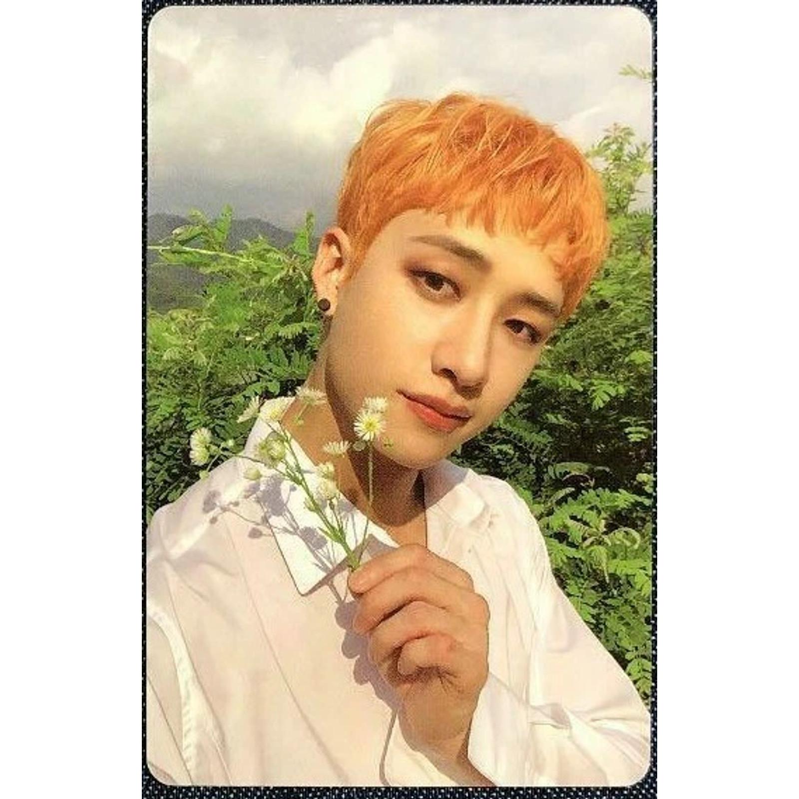 Stray Kids NOEASY АЛЬБОМ ОФИЦИАЛЬНАЯ ФОТОКАРТОЧКА BangChan Limited ver