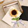 Trä 3D-bildramar Djup 3 cm 5 cm Torkad blomma Provhållare Handgjord DIY Hantverk Display Fotoram Heminredning