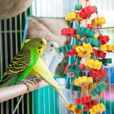 Toys for Birds Parrot Toys Wood Block Tearing Toy Exercise Cockatiel Chewing Toys Pet Bird Training Behavior Cage Accessories
