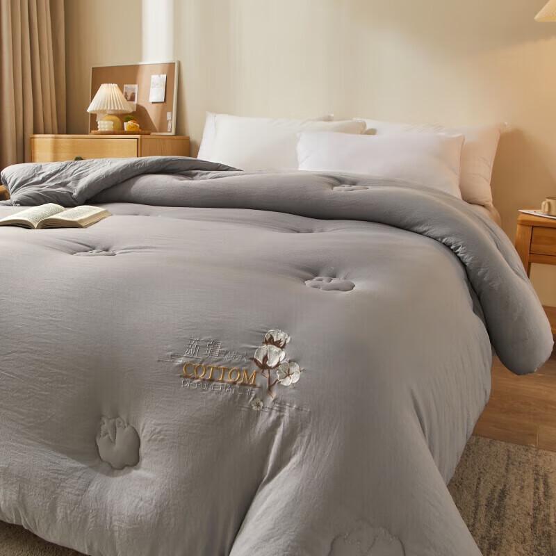 DZQA Class Xinjiang Pure Cotton All-Season Quilt