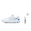 Li Ning Badminton Shoes Unisex Low top White, Blue, Purple AYTT021-2