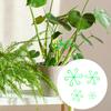 Plastic Plant Support Clips Plant Stem Support Clamp Green Vine Climbing Frame Gardening Tools Turtle Backed Bamboo Support Rod