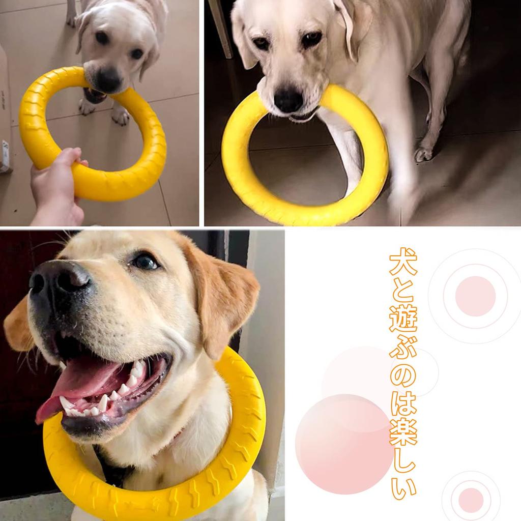 GreenGee Dog Dental Durable Toy for Large For Dog Pet Intelligence Floating Training Lightweight and Can be Played in Dog Chewing Ring Toy, [Choose