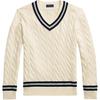 Polo Strikket genser med stripete detalj, V-hals, lange ermer, flettet strikk, standard passform, herre genser 710742326-001