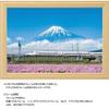 500 Piece Jigsaw Puzzle Astragalus Flowers and Mt. Fuji (Shizuoka) Compact Piece (26x38cm)