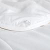 LUOLAI Shuxin Silky Tussah Silk Duvet