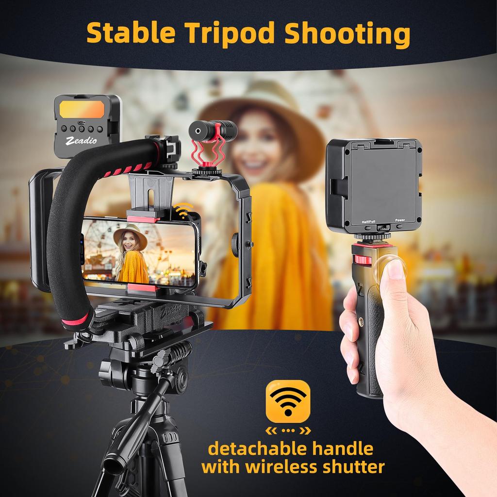 Zeadio All-in-One Smartphone Camera Stabilizer Kit, Portable Handheld Video Rig with RGB Video Light and Microphone, Compatible with All Video Cameras