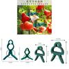 Gardening Fixing Clips Set With Ties For Home Plant Support And Climbing Vegetables