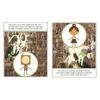 Templar Publishing THE LITTLE WOODEN ROBOT AND THE L.