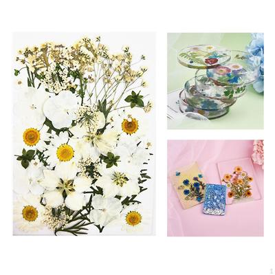 Gemischte getrocknete und gepresste Blumen für Hochzeitseinladungen, Umschläge, Lesezeichen, Tischdekorationen,