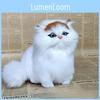 Realistic Plush Cat Toy Soft Material Ideal For Children's Playtime And Imaginative Games For Kids