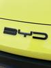 BYD Seagull Logo z przodu Logo z literami Włókno węglowe BYD Jasna czarna ozdobna naszywka Zmieniony kolor