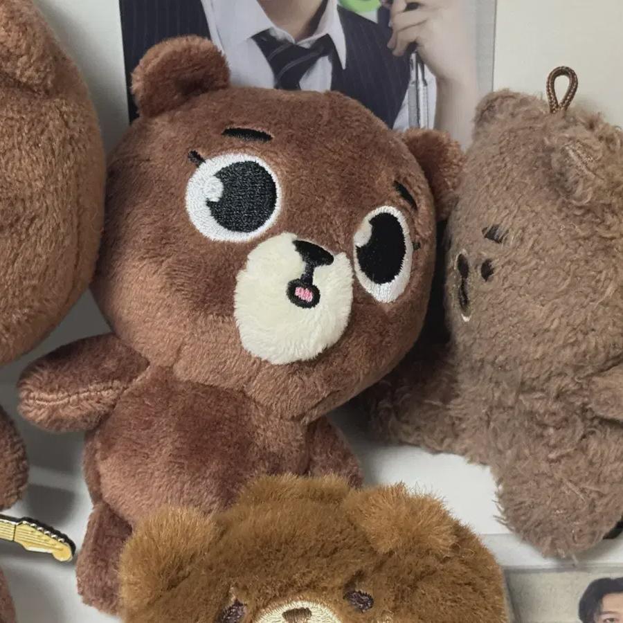 

DAY6 Сонджин Бэкчам Комната Вечно Молодой Япония